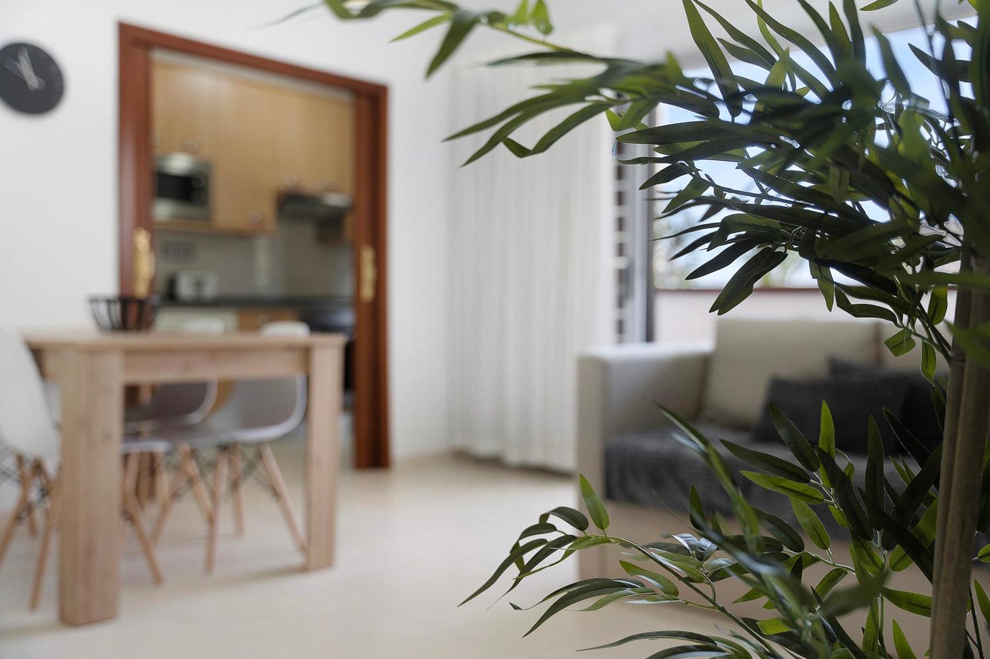 Apartamento Opuntia La Orotava Esterno foto